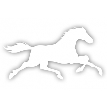 Naklejka na samochód KOŃ